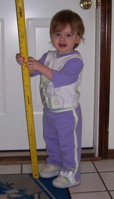 yardstick